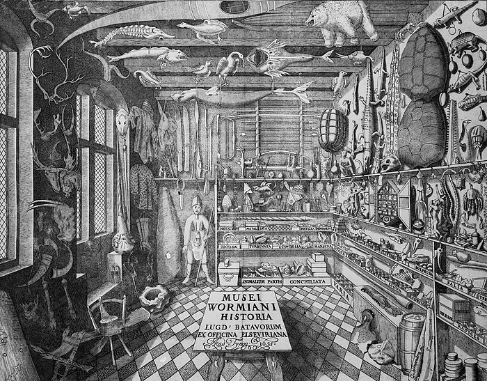 Olé Worm's Musei Wormiani Historia